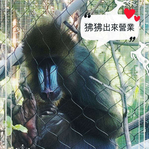 晒货图片