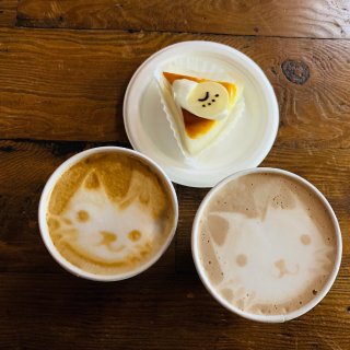 猫咪咖啡厅