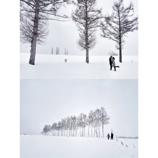 一辈子一定要去看一次北海道的雪...