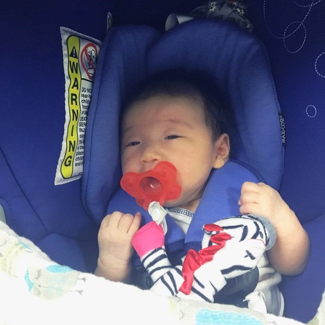 一直都是用它家的 从篮子到安全座椅...