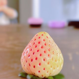 粉粉嫩嫩白草莓🍓｜少女心Pineberr...
