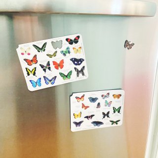 15-蝴蝶🦋冰箱贴...