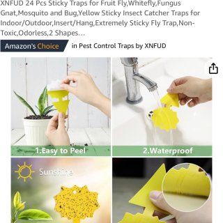 amazon好物：超强效小飞虫扑捉贴...