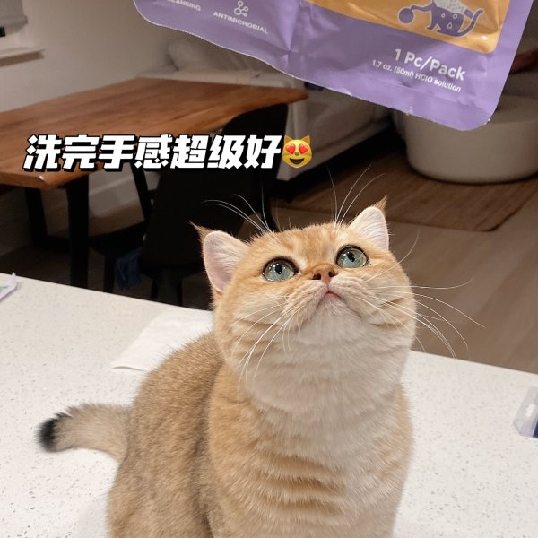 晒货图片