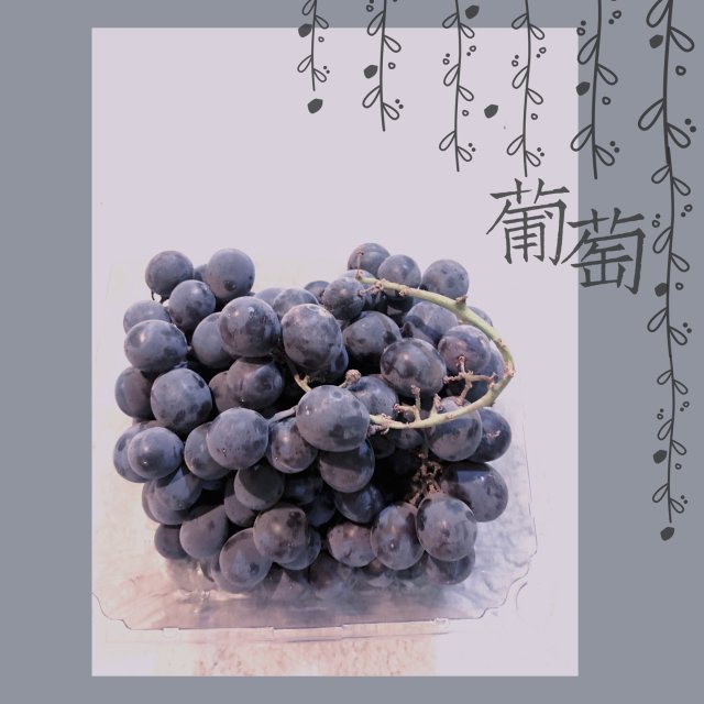 彩虹挑战🌈7⃣️紫色