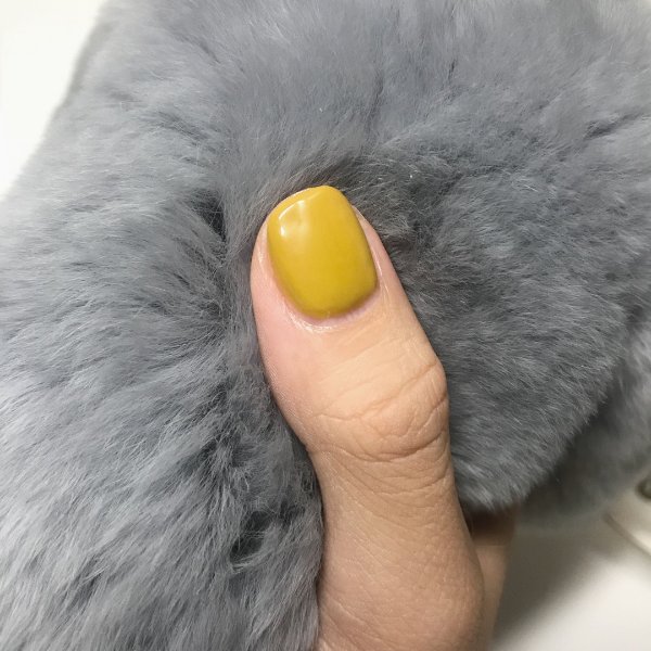 晒货图片