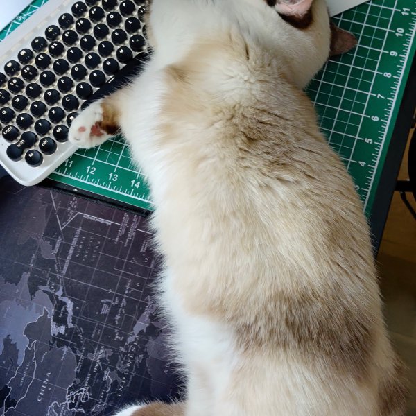 晒货图片