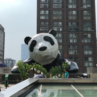 成都IFS的大熊貓🐼｜商業與藝術的結合...