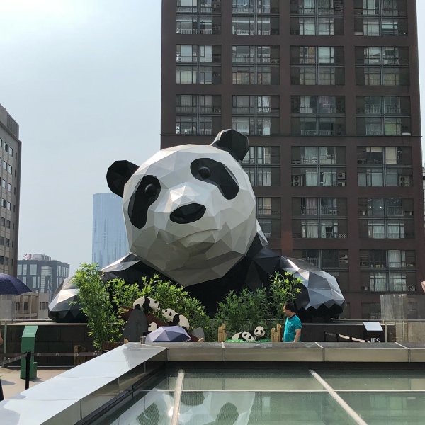 晒货图片