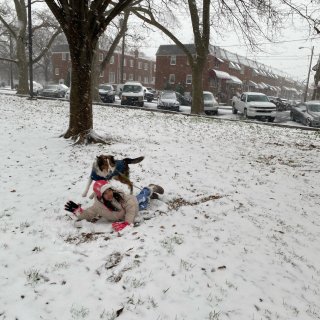 Lucky 狗生的第一次玩雪...
