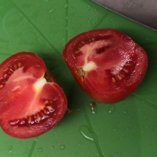 让我欣喜的西红柿🍅...