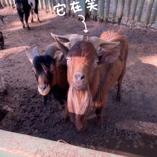 晒货图片