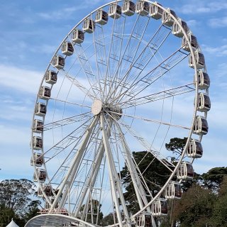 SkyStar Wheel 