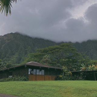 FansLook ☁️ Honolulu...