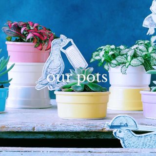 仙仙的pots&co官网