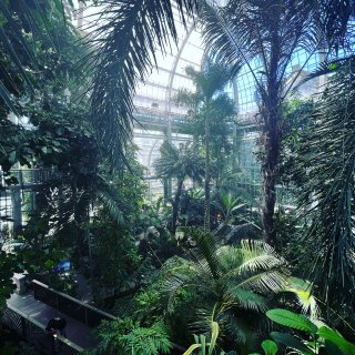 DMV｜DC国家植物园 Botanic ...