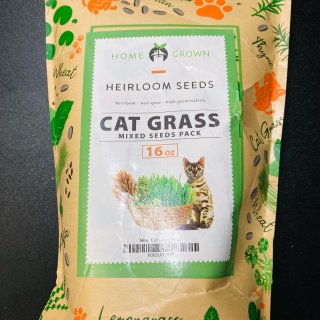 Cat Grass Seeds (16oz) - Oat Seeds & Barley Seeds Mix - Keep Pets Healthy with Cat Grass for Indoor Cats - Cat Grass Seeds Bulk - Refill Cat Grass Growing Kit - 100% Non-GMO, Heirloom Cat Grass Seed : Pet Supplies