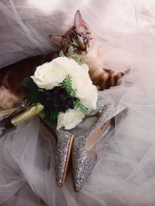 “高跟残疾星人”也能穿的婚鞋—Miu Miu与喵喵