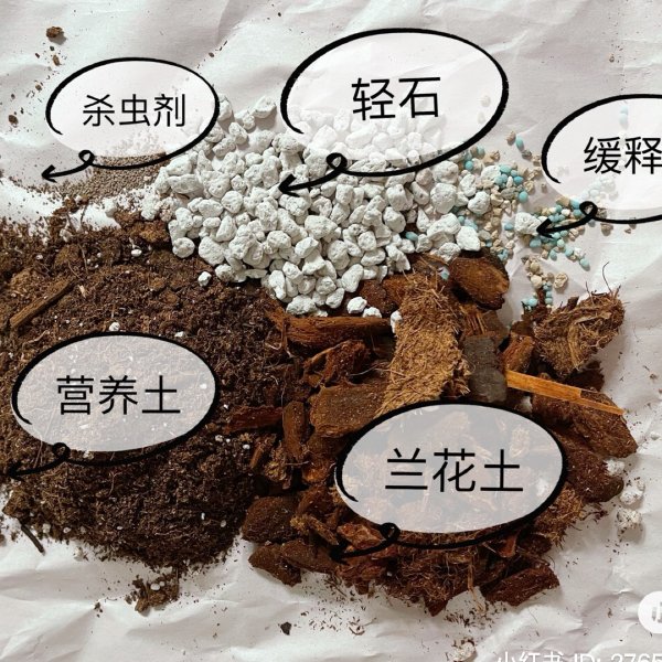 晒货图片