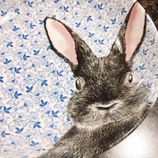 这么可爱的小兔子餐盘你有吗？...
