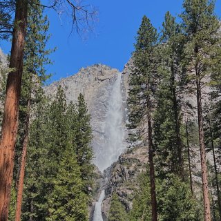 Yosemite优胜美地一整天行程安排📝...