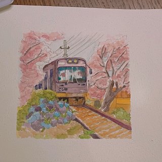 应景的樱花火车...