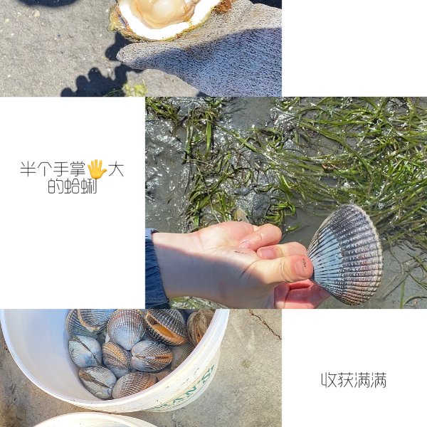晒货图片