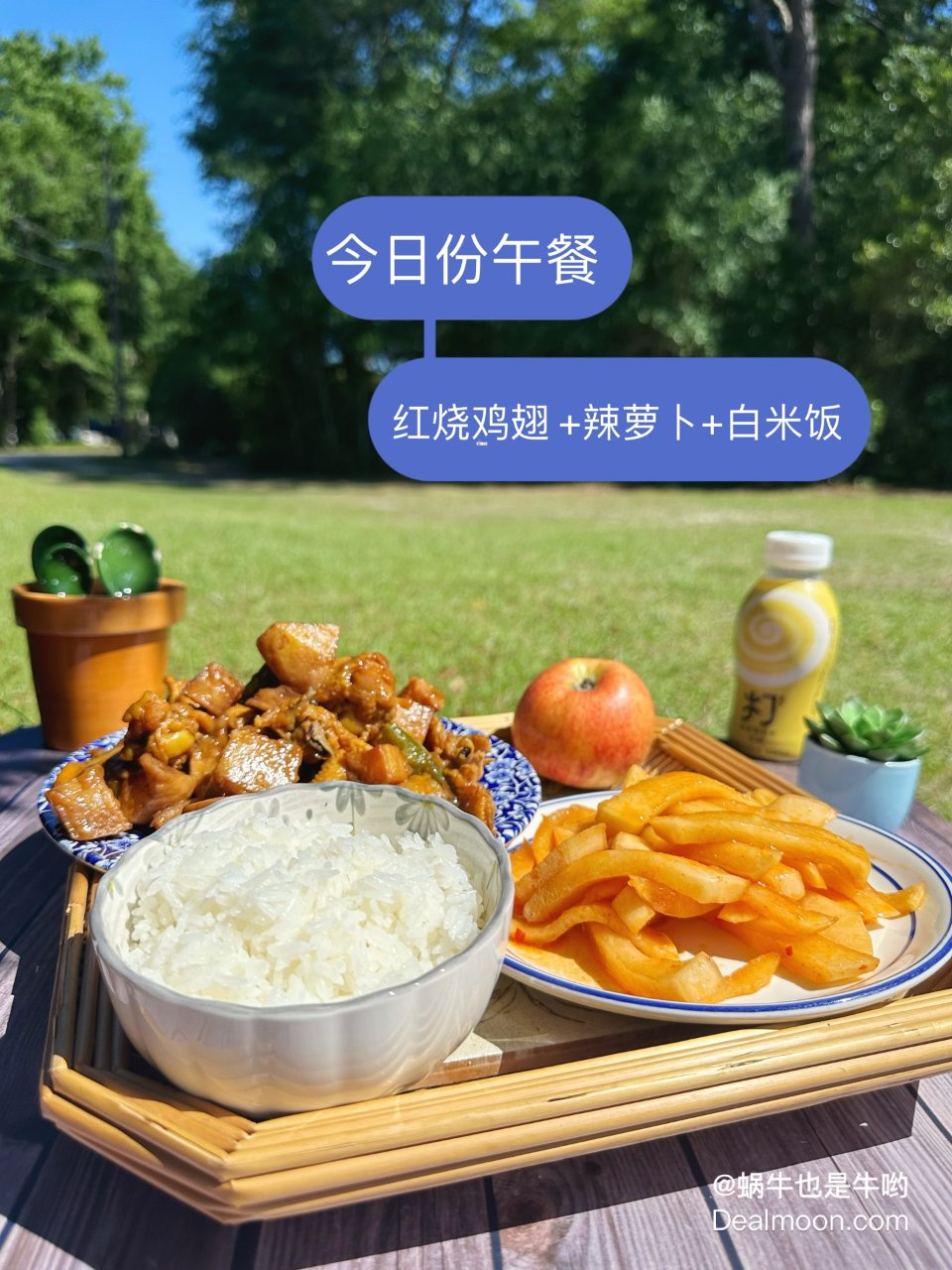 今日份午餐 红烧鸡翅 +辣萝卜+白米饭 ...