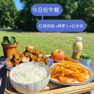 今日份午餐 红烧鸡翅 +辣萝卜+白米饭 ...