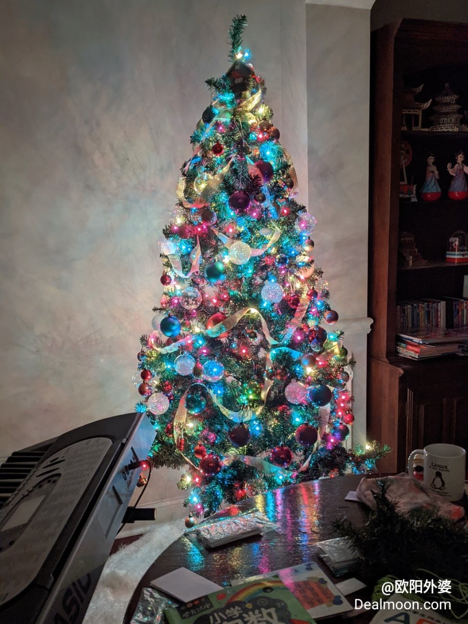 圣诞树装好了