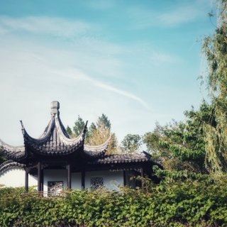 拙政园,chinese scholar’s garden