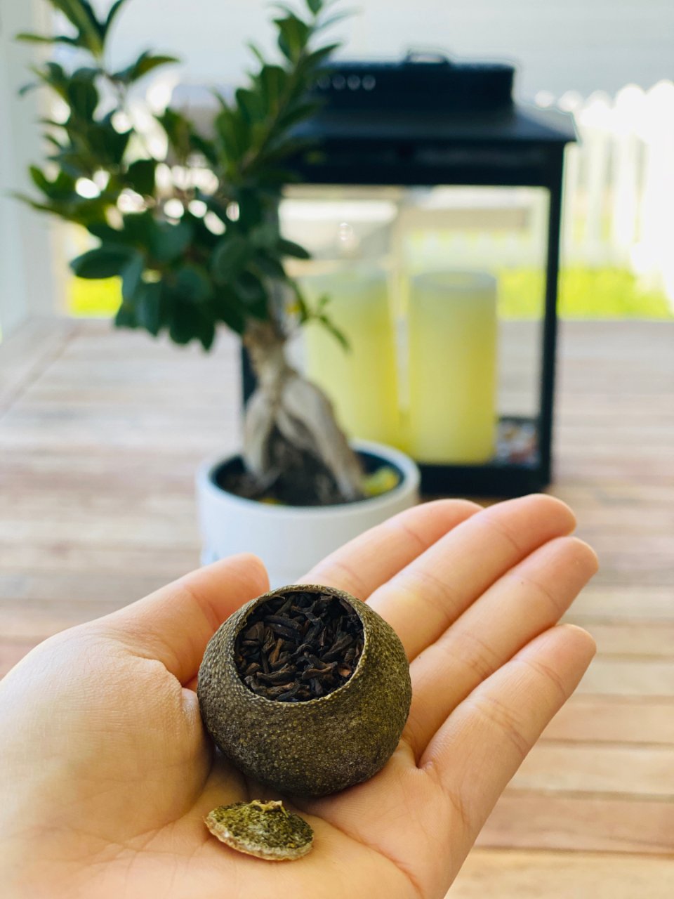 🍊🍵独具风味的小柑橘普洱茶🍵🍊 | 社区美食精选