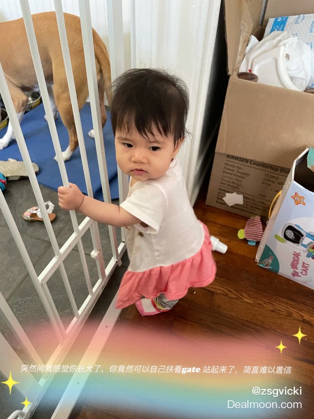 ❤️萌娃成长记-1 你可以独立扶东...