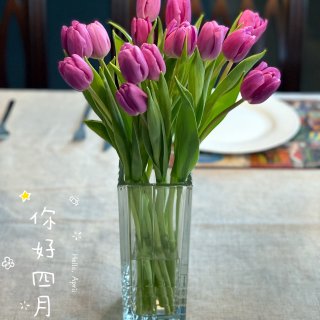 人间芳菲四月天｜最美的郁金香🌷时节到啦！...