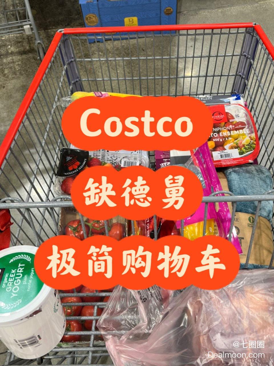 周末日常｜继续躺平 Costco极简超市...