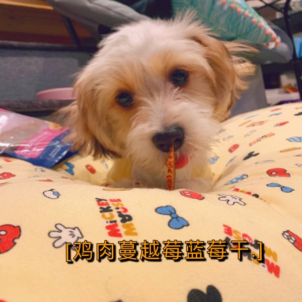 晒货图片