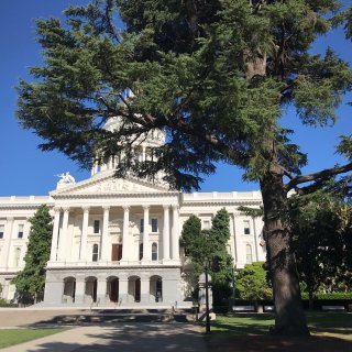 California State Capitol - 旧金山湾区 - Sacramento