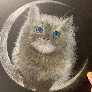 原创彩色铅笔插画教程|🌙🌙月亮上的小猫咪...