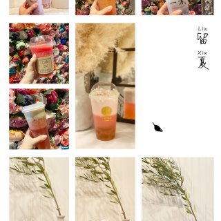 LA｜熊猫App樱花奶茶节 新品$1独家...