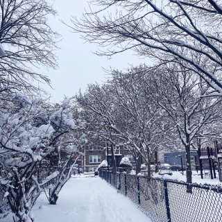 我這ㄦ下雪啦｜記錄波城2022第一次下雪...