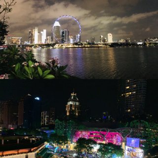 新加坡必去景点：星光璀璨的天空树Supe...