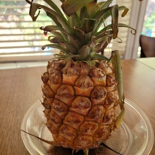 夏威夷菠蘿