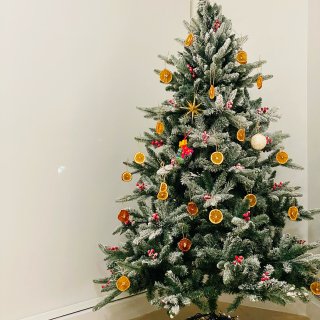 新家第一棵圣诞树🎄...