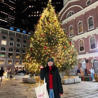 🎄🦞今年波士顿的圣诞树比往年的都要小一些...