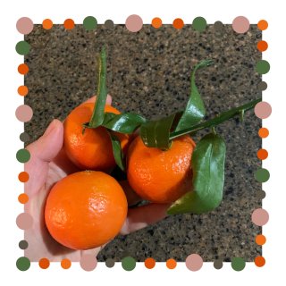 今年吃过最甜的橘子🍊...