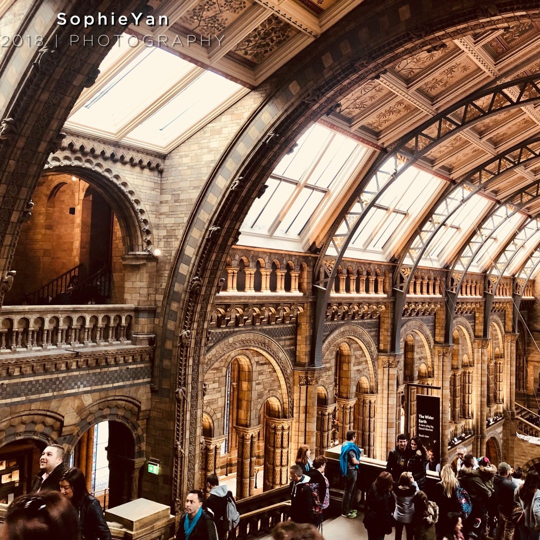 伦敦博物馆 | 自然历史博物馆超级美...