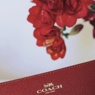 这个Coach小包包 完美装护照！腕包手...