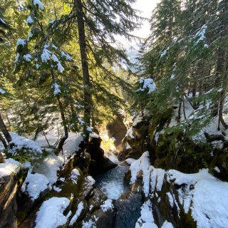 西雅图冬季hiking超美trail推荐...