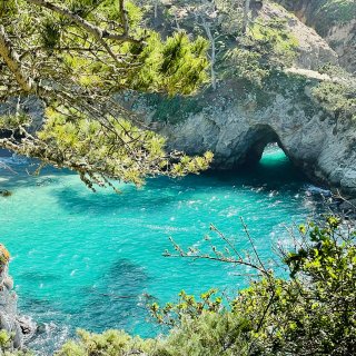 湾区周末好去处——Point Lobos...