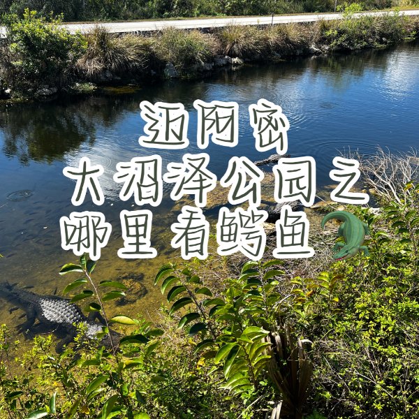 晒货图片